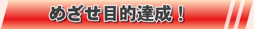 めざせ目的達成！